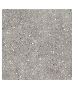 แกรนิตโต้ LKJW 6709 (R10) (A) 60x60CM.